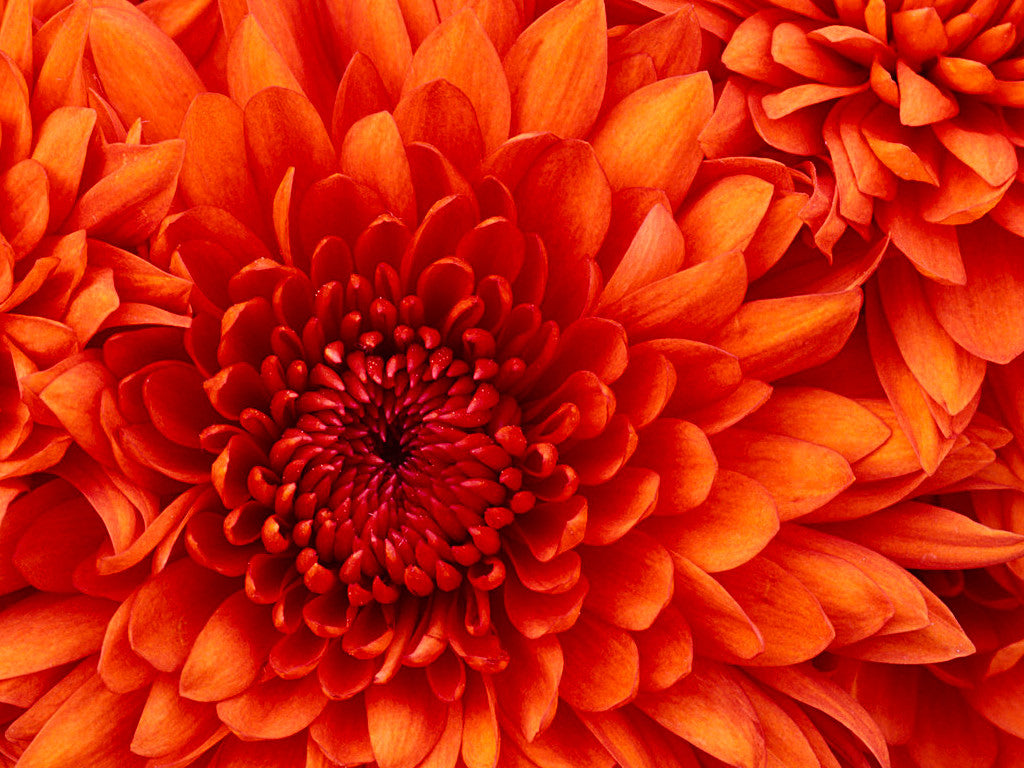 Test product to view image parameters